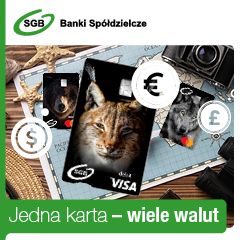 Wielowalutowość